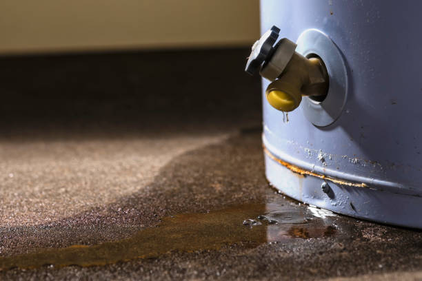 Best 24-hour water damage restoration  in Harvey, LA