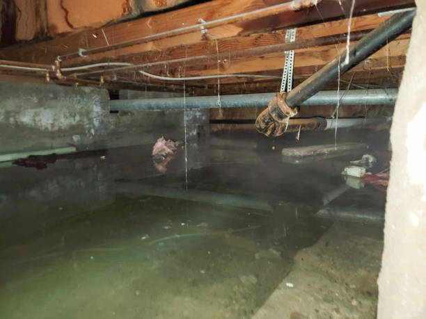 Best Commercial water damage restoration  in Harvey, LA