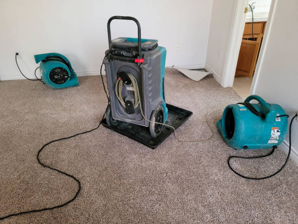 Best Basement water damage restoration  in Harvey, LA