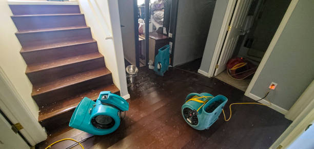 Carpet water damage restoration in LA