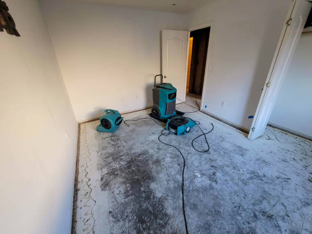 Best 24/7 water damage repair  in Harvey, LA