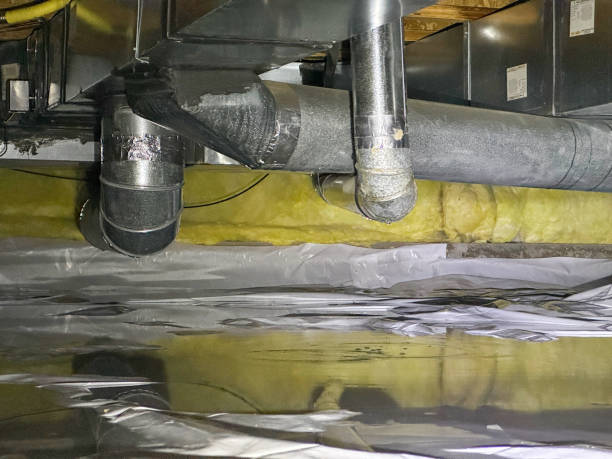 Best Water damage restoration near me  in Harvey, LA