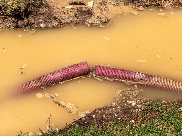 Best 24-hour water damage restoration  in Harvey, LA