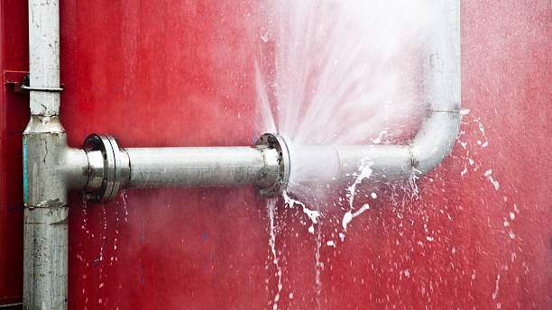Best Water damage restoration near me  in Harvey, LA